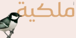 ⁦layla Arabic typeface - خط ليلى ارابيك⁩ - الصورة ⁦9⁩