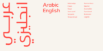 ⁦خط شاهين الطباعي - shaheen Arabic typeface⁩ - الصورة ⁦5⁩