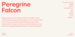 ⁦خط شاهين الطباعي - shaheen Arabic typeface⁩ - الصورة ⁦7⁩