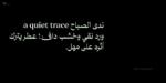 ⁦Salma Arabic typeface - خط سلمى ارابيك⁩ - الصورة ⁦4⁩