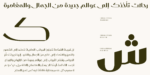 ⁦Omnia display typeface - خط أمنية للعناوين⁩ - الصورة ⁦8⁩