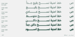 ⁦Omnia Naskh typeface - خط أمنية نسخ⁩ - الصورة ⁦4⁩