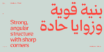 ⁦خط رايات الطباعي - خط نسخ - Rayat Arabic typeface⁩ - الصورة ⁦3⁩