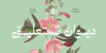 خط ديوان نستعليق Diwan Nastaliq