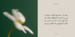 ⁦خط واحة الطباعي - waha typeface - خط نسخ⁩ - الصورة ⁦4⁩