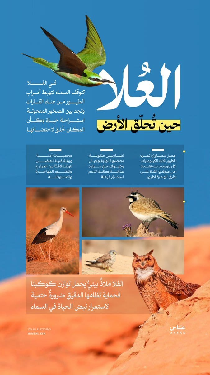 خط عسّاس|fatima-arabic-typeface في تصميم من عسّاس (9 من 9)