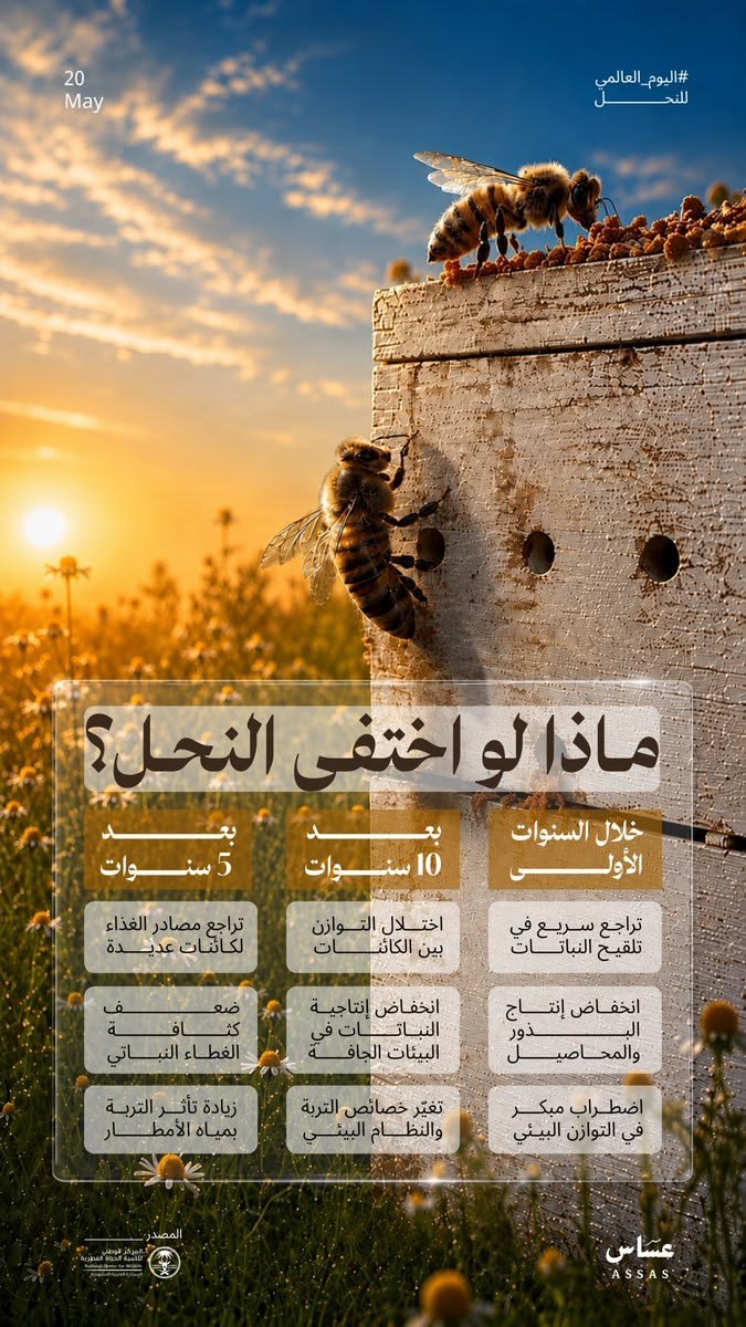 خط عسّاس|fatima-arabic-typeface في تصميم من عسّاس (3 من 9)