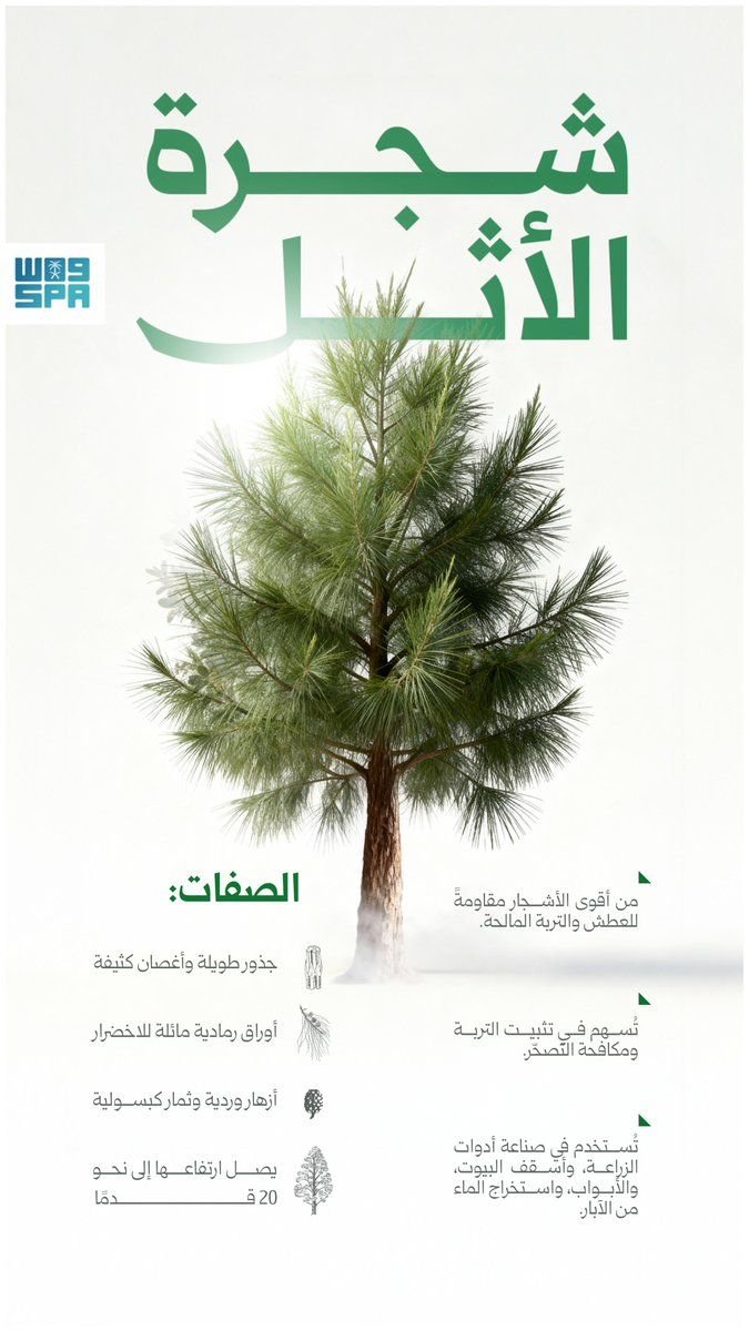 استخدام خط قمرة — واس — وكالة الأنباء السعودية