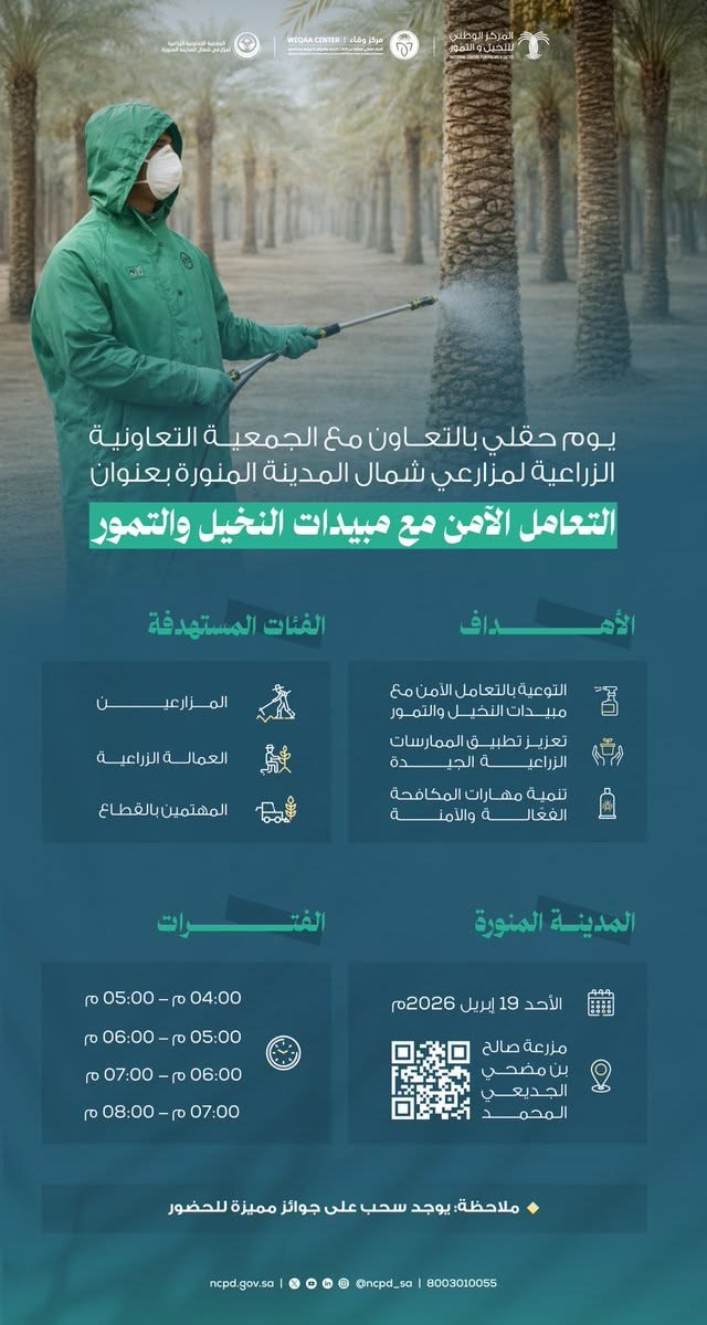 خط المركز الوطني للنخيل والتمور|salma-arabic في تصميم من المركز الوطني للنخيل والتمور (11 من 12)