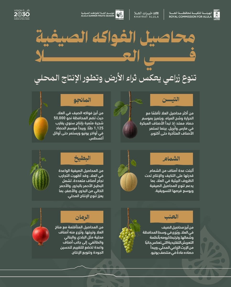 خط الهيئة الملكية لمحافظة العلا|salma-arabic في تصميم من الهيئة الملكية لمحافظة العلا (5 من 6)
