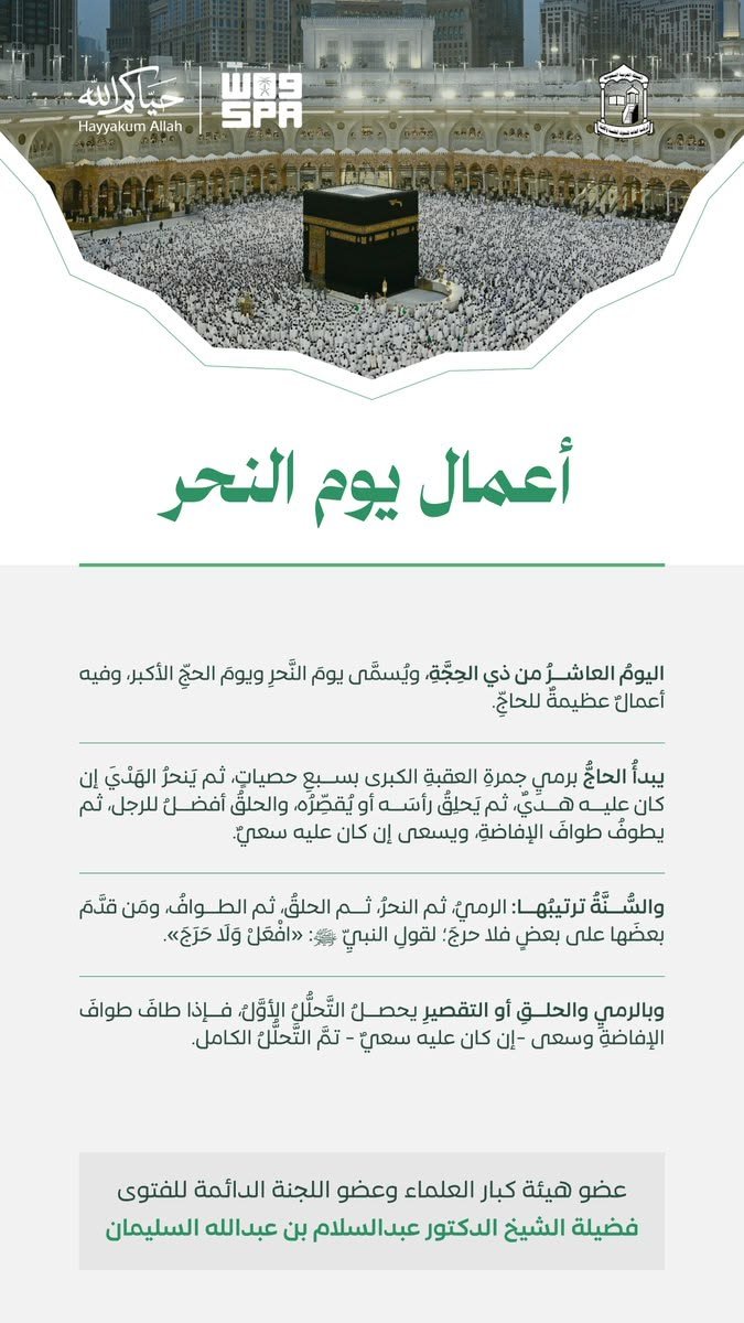 خط واس — وكالة الأنباء السعودية|salma-arabic في تصميم من واس — وكالة الأنباء السعودية (4 من 6)